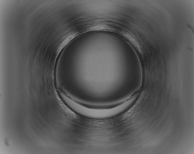 X0000097891330200803281237