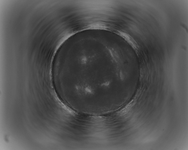 X0000097891331200803281237