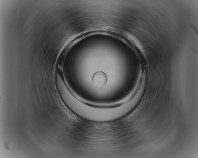 X0000097891332200803281237