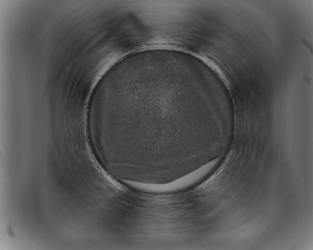 X0000097891333200803281237