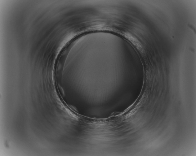 X0000097891334200803281237