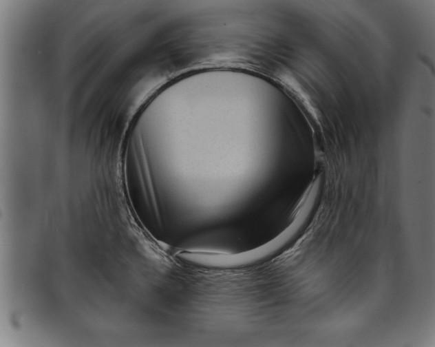 X0000097891336200803281237