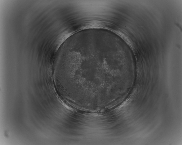 X0000097891337200803281237