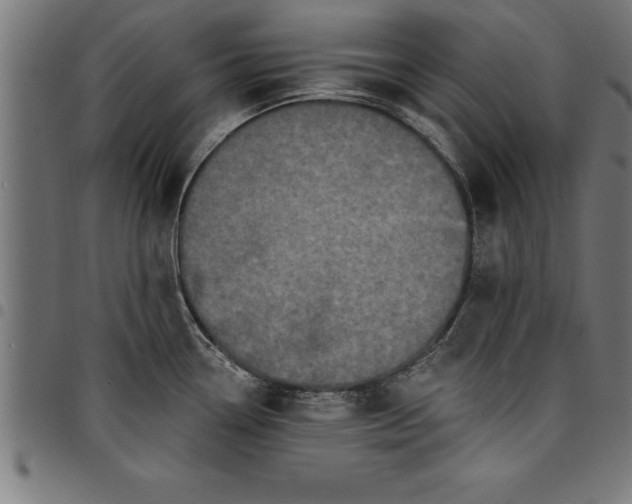 X0000097891338200803281237