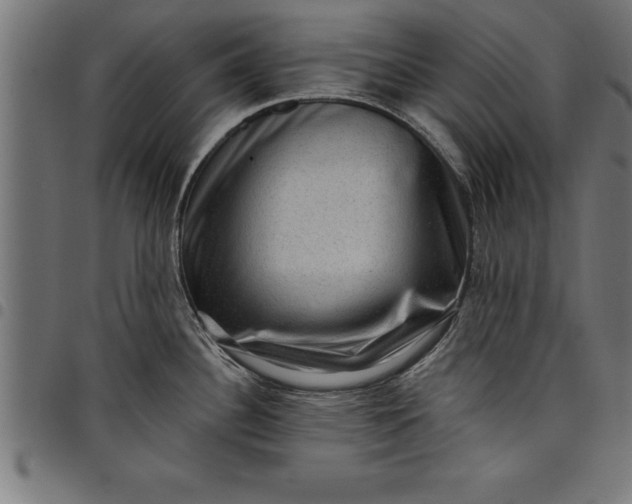 X0000097891340200803281237