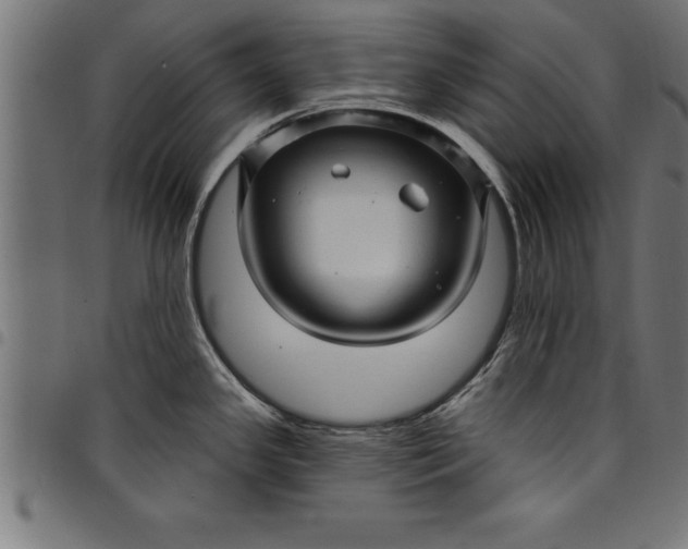 X0000097891341200803281237