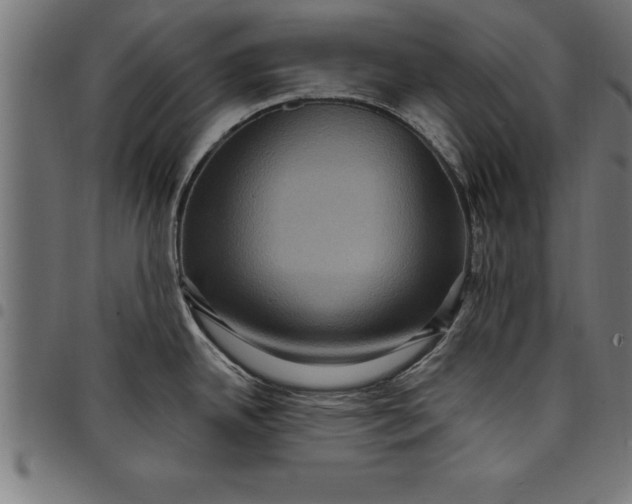 X0000097891342200803281237