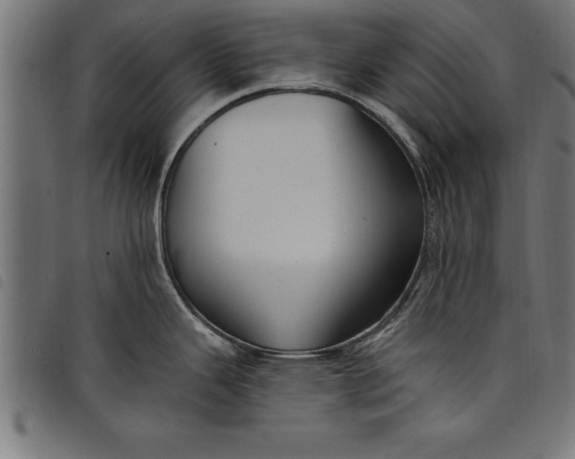 X0000097891343200803281237