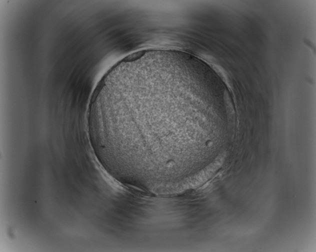 X0000097891344200803281237