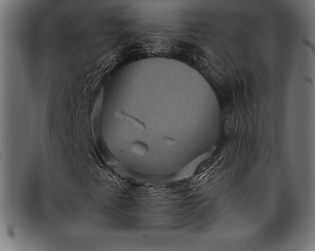 X0000097891345200803281237