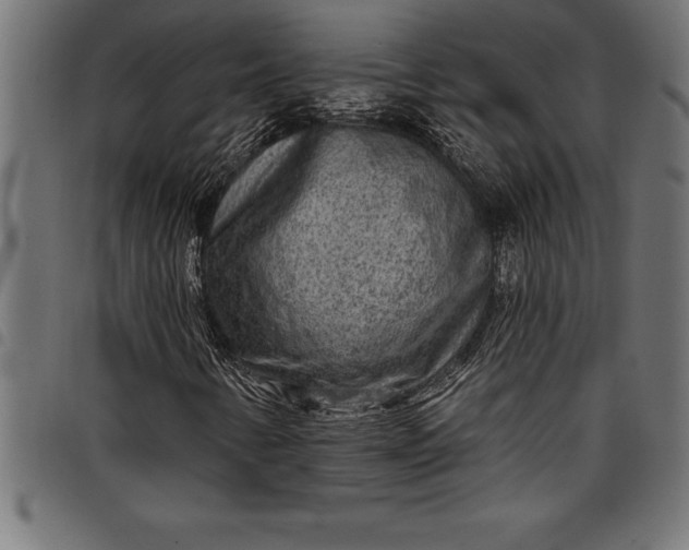 X0000097891346200803281236