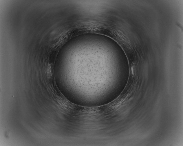 X0000097891347200803281236