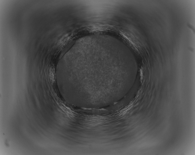 X0000097891348200803281236