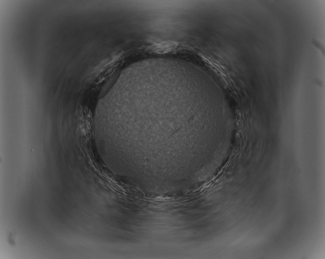 X0000097891349200803281236