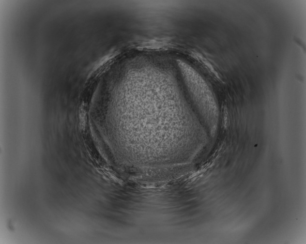 X0000097891350200803281236