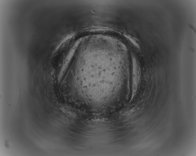 X0000097891351200803281236