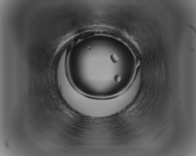 X0000097891352200803281236