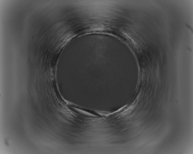 X0000097891353200803281236