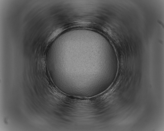 X0000097891354200803281236