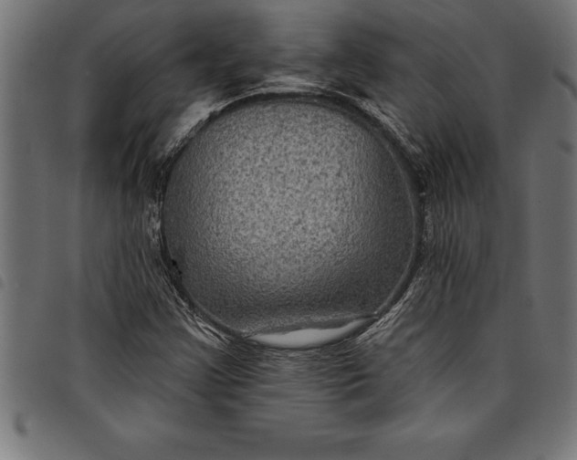 X0000097891355200803281236