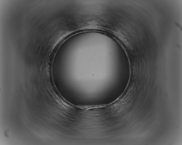 X0000097891356200803281236