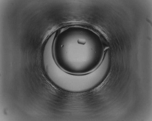 X0000097891357200803281236