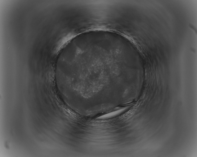 X0000097891359200803281236