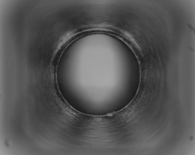 X0000097891360200803281236