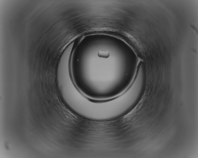 X0000097891361200803281236