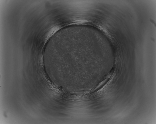 X0000097891362200803281236