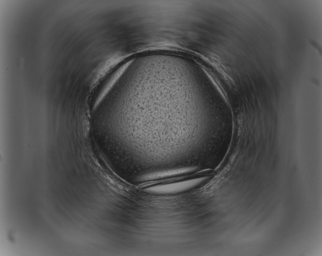 X0000097891363200803281236