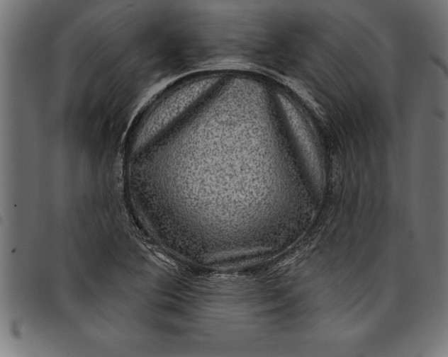 X0000097891364200803281236