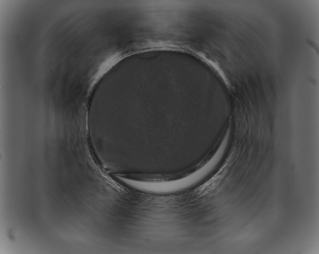 X0000097891365200803281236