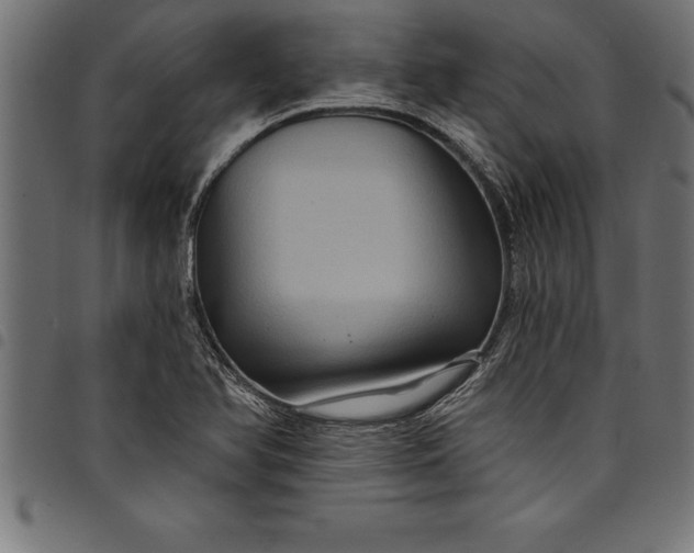 X0000097891366200803281236