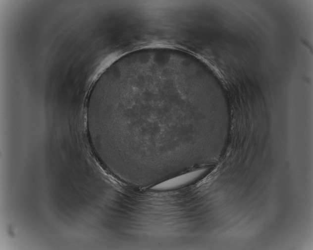 X0000097891367200803281236