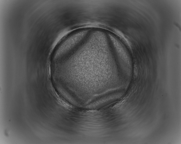 X0000097891368200803281236