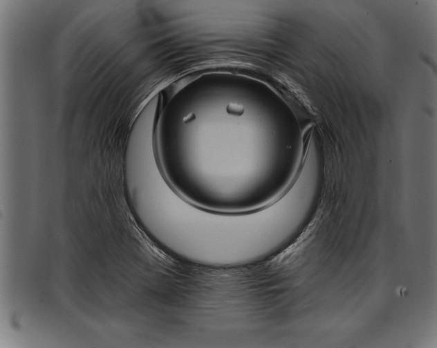 X0000097891369200803281236