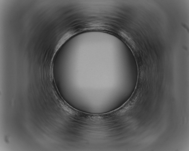 X0000097891370200803281236