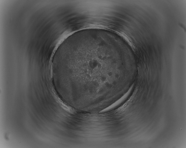 X0000097891371200803281236