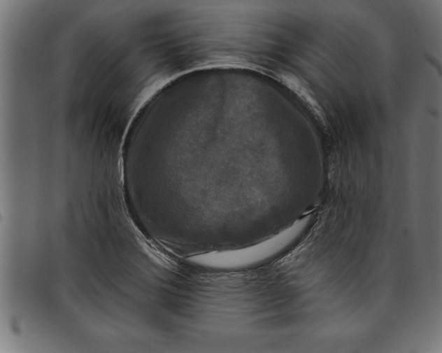 X0000097891372200803281236