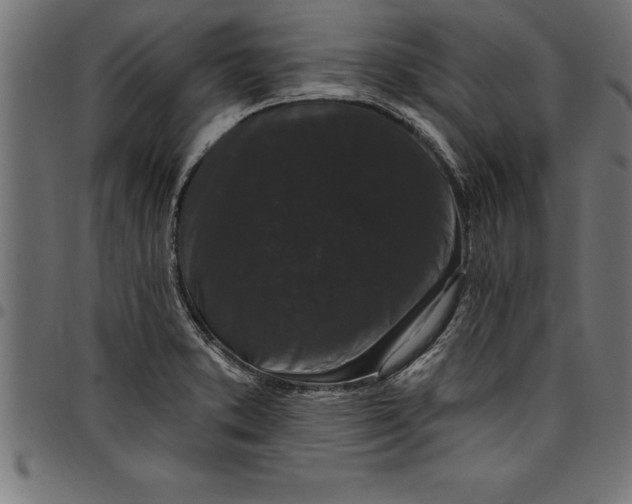 X0000097891373200803281236