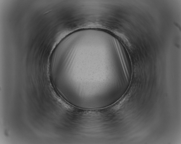 X0000097891374200803281236