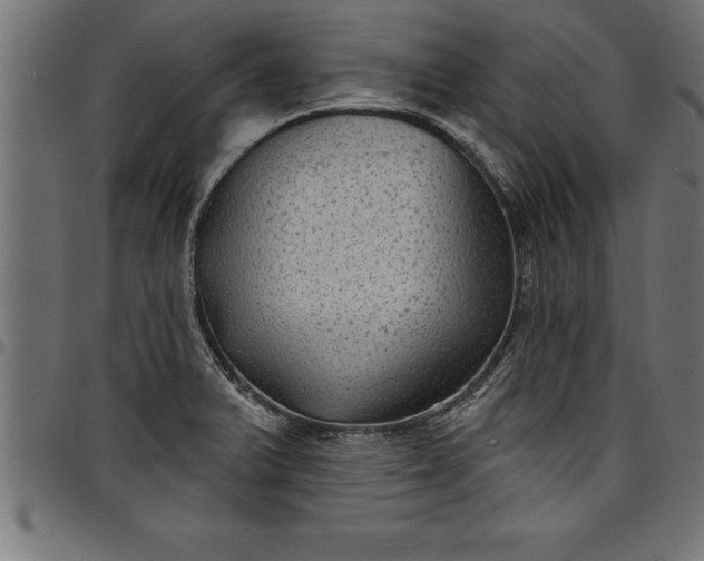 X0000097891375200803281236