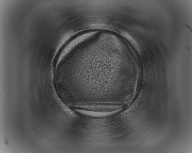 X0000097891376200803281236