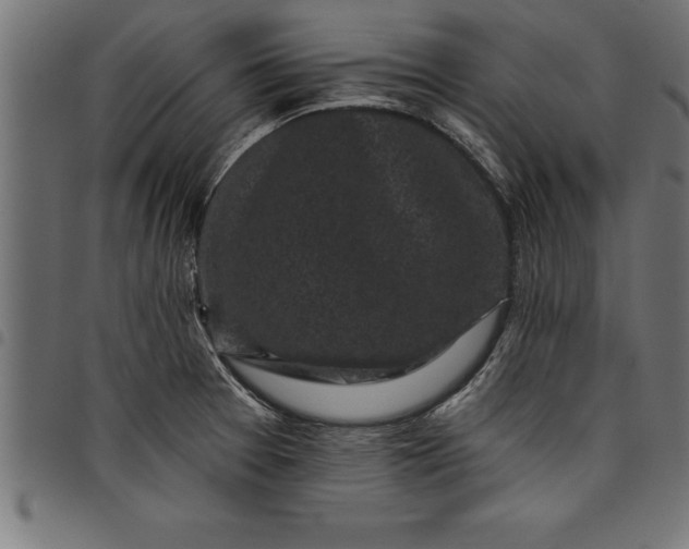 X0000097891377200803281236