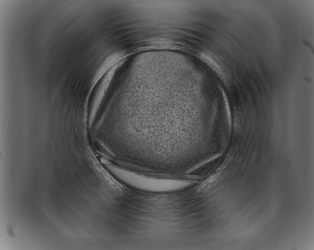 X0000097891378200803281236