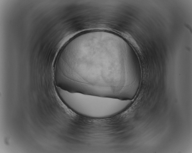 X0000097891380200803281236