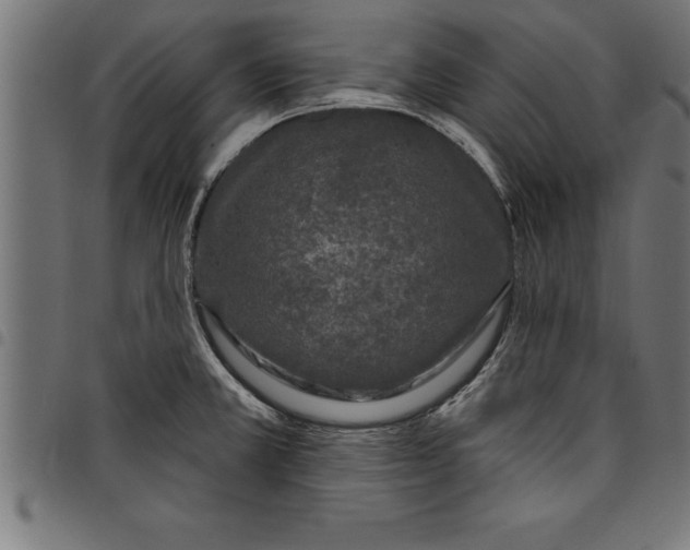 X0000097891381200803281236