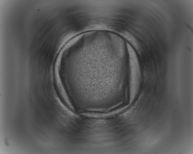 X0000097891382200803281236