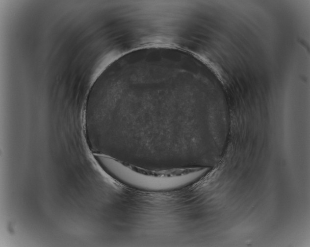 X0000097891383200803281236